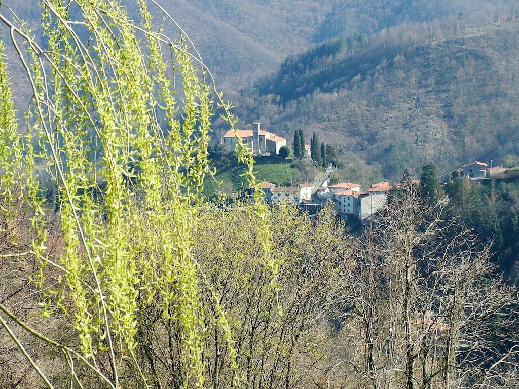 Agriturismo Selvapiana Cantagallo Exterior photo